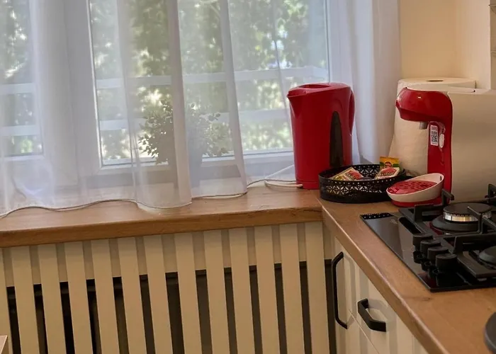 Apartman Ultracentral Cochet !